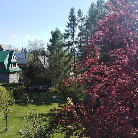 U Stanka Z Bilardem, Sauna, Jacuzzi Biały Dunajec